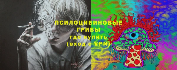 mdpv Каменка