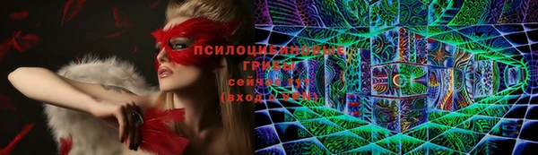 mdpv Каменка