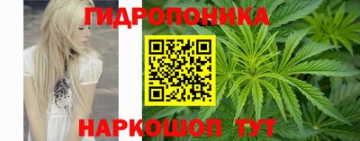 синтетический гашиш Лесосибирск