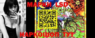 стафф Аргун