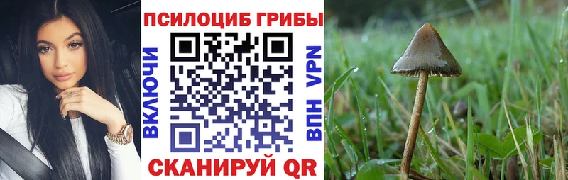 Псилоцибиновые грибы MAGIC MUSHROOMS  Купить  Ипатово 
