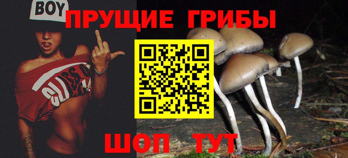 Ипатово  Галлюциногенные грибы GOLDEN TEACHER  Вход с VPN 