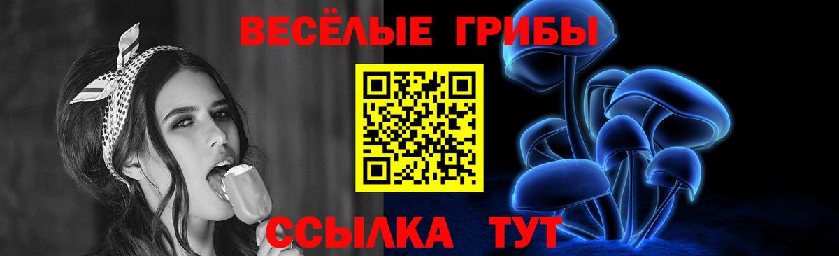 Псилоцибиновые грибы Psilocybine cubensis Ипатово