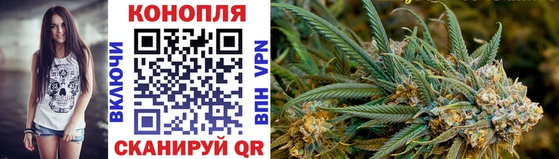 Бошки Шишки THC 21%  Купить  Ипатово 